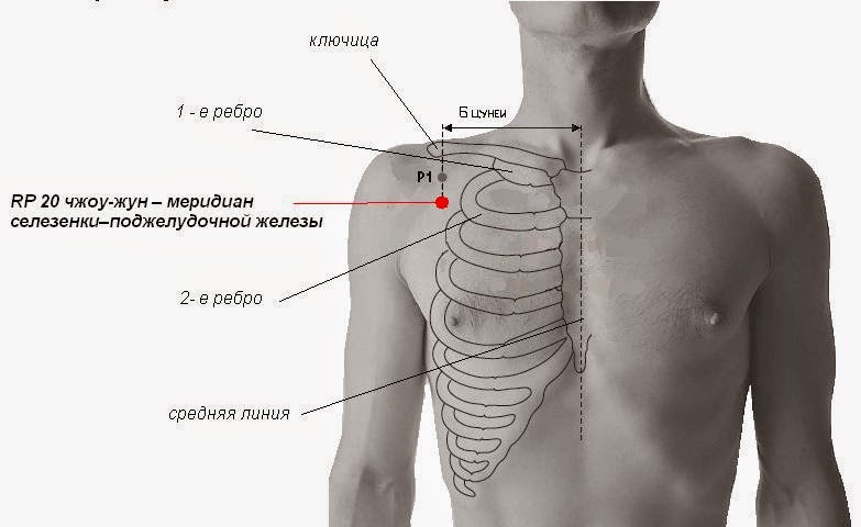 Линия ключиц