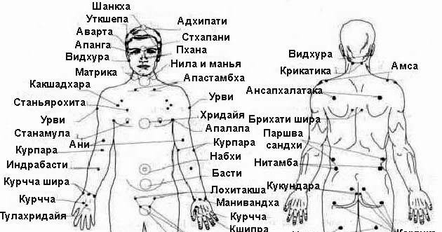 Зоны у мужчин. Мужчины на зоне. Эрогенные зоны у мужчин схема. Карта мужских эрогенных зон. Чувствительные точки на шее.