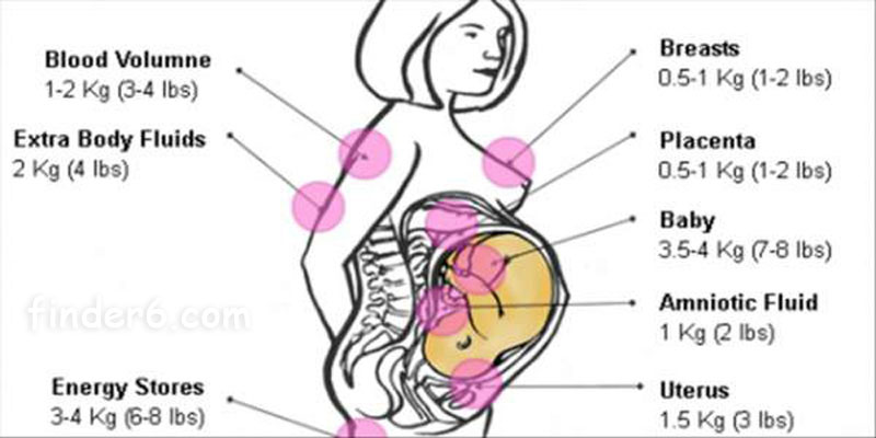 9 недель беременности тянет низ живота. Вес беременных из чего состоит. Из чего состоит вес беременной женщины. Из чего слагается вес беременных. Вес беременной из чего складывается.