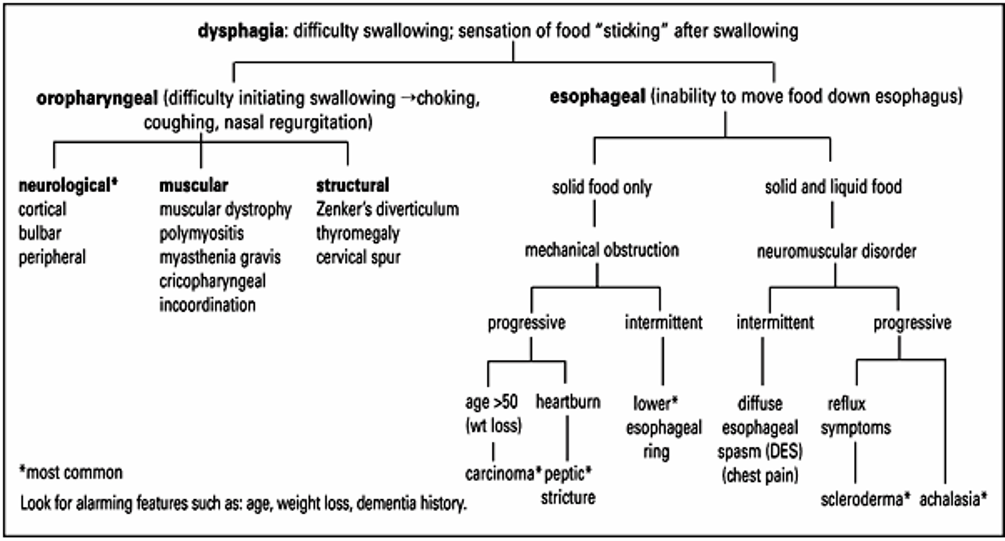 Дисфагия у детей. Дисфагия таблицы. Дисфагия степени классификация. Алгоритм диагностического поиска при синдроме дисфагии.. Дисфагия дифференциальная диагностика.