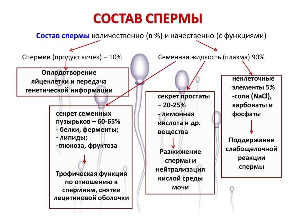 Брии Дениалс получает в рот много спермы от парня после секса