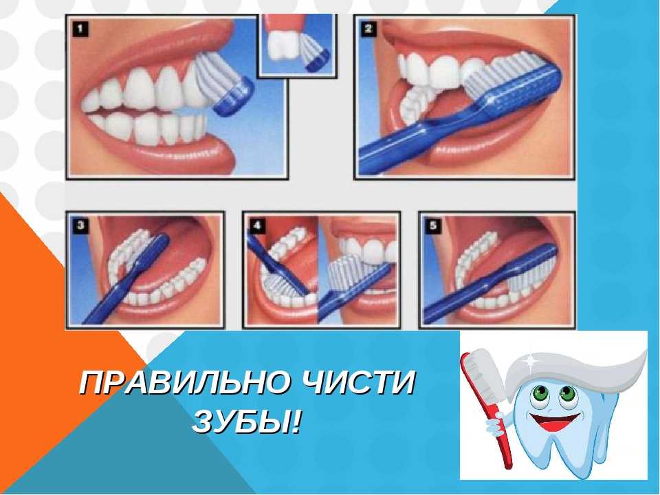 Чем отличается чистка зубов. Правильная чистка зубов для детей. Правильная гигиена зубов. Как правильно чистить зубы. Правильная техника чистки зубов.