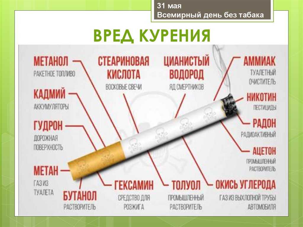 Чем можно заменить проект