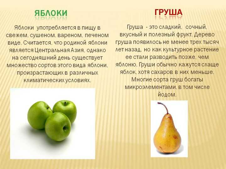 Фрукт 2 класс. Груша характеристика плода. Груша описание для детей. Описание фруктов для детей. Витамин яблоко груша.
