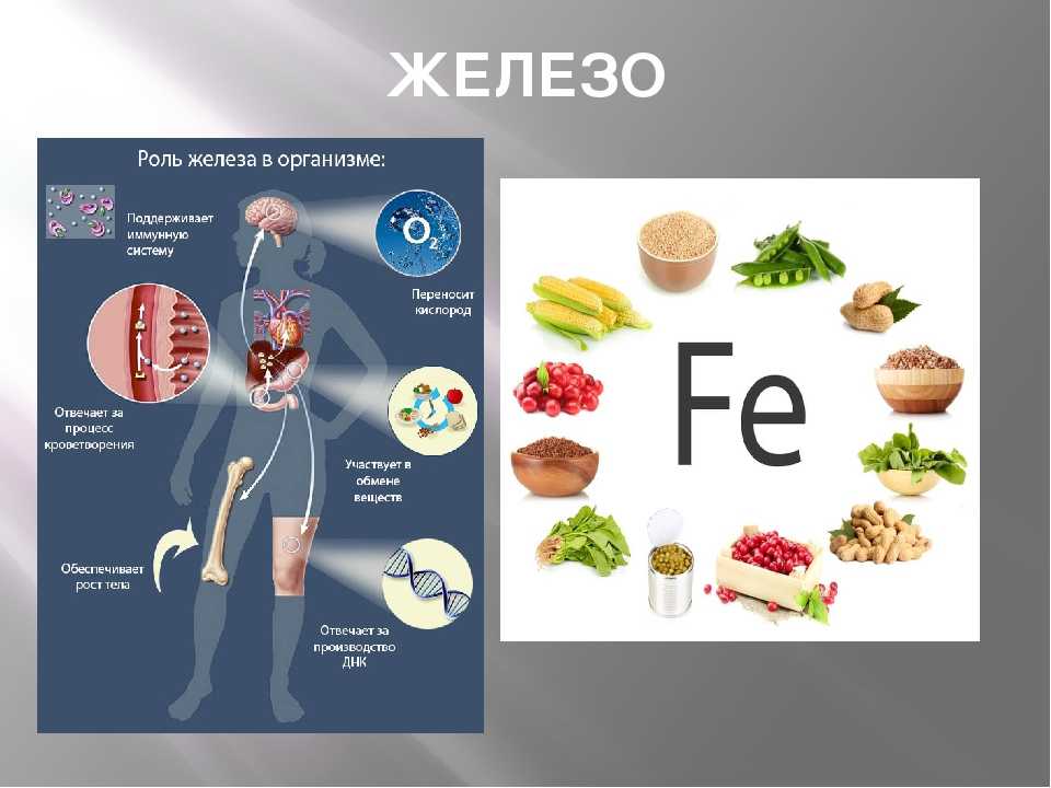 Железо в организме картинки