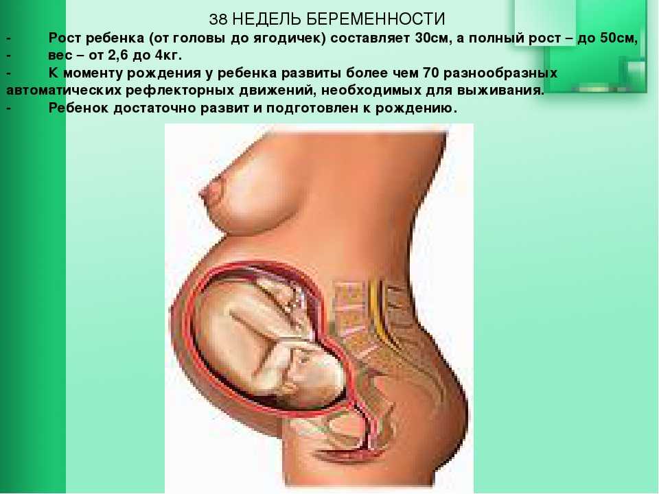 Беременность 30 недель кровь. Вес малыша на 25 неделе беременности. Вес ребёнка в 22 недели беременности.