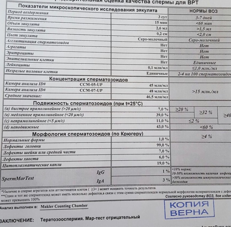 Нормальная спермограмма. Спермограмма мар тест морфология по Крюгеру. Спермограмма и мар тест Результаты норма. Норма спермограммы мар тест. Спермограмма здорового мужчины показатели.