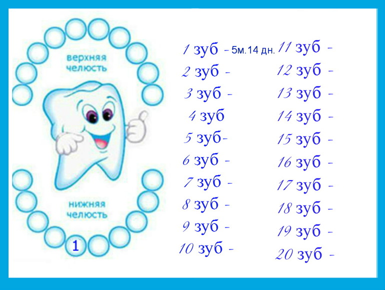 Сколько длится прорезывание зубов у ребенка. Зубы схема прорезывания молочных. Схема вылезания зубов у детей. Схема прорезывания молочных зубов у детей до 2. Схема прорезывания зубиков у детей.