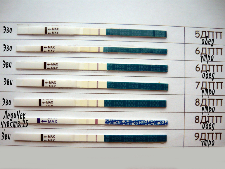 Тесты после переноса пятидневки. 6 ДПП пятидневок тест призрак. Тест на 9 день после переноса.