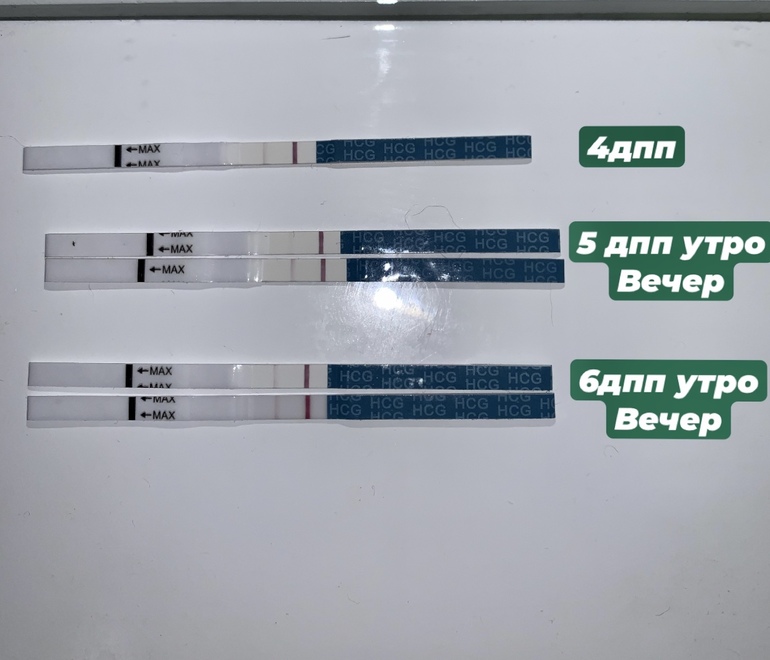 ХГЧ на 6 ДПП. 4 ДПП пятидневок. 6 ДПП тест. Ощущения в день переноса эмбрионов форум