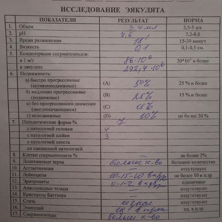 Спермограмма подготовка к сдаче