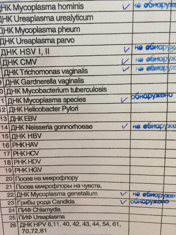 Mycoplasma genitalium что это