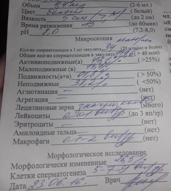 Подготовка к спермограмме. Спермограмма сбор. Спермограмма правила сдачи.