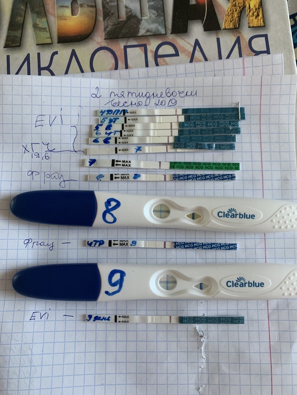 Тест отрицательный эко. Тест Clearblue на 5дпп. 6 ДПП крио тест. 5 ДПП тест. 8дпп тест на беременность.
