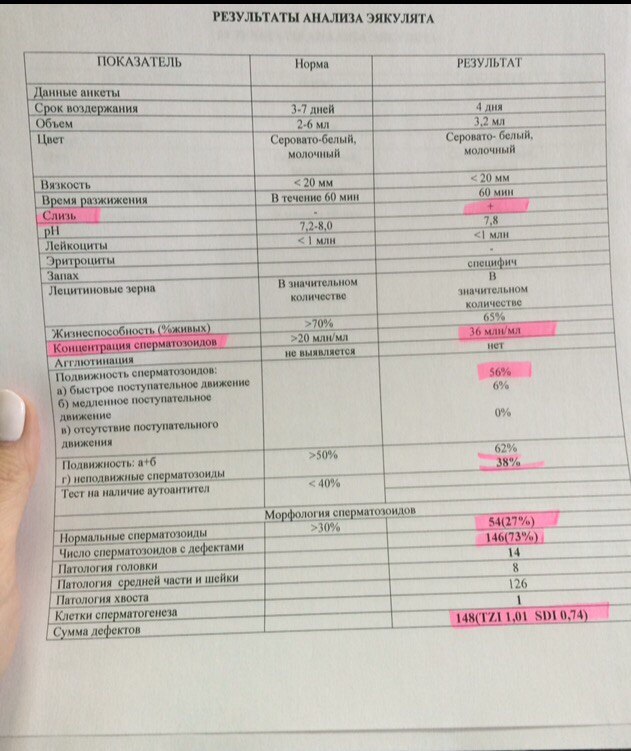 Анализ спермограммы. Нормальная спермограмма для зачатия. Показатели спермограммы для естественного зачатия. Норма показателей спермограммы для зачатия. Спермограмма норма и патология.