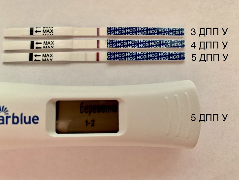 6 дпп тест форум. 5дпп Эви. Тест на 5 ДПП пятидневок крио. 3 ДПП пятидневок тест. 4дпп тест на беременность отрицательный.