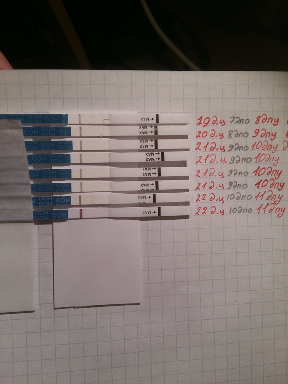 Тесты на беременность после уколов хгч. После укола ХГЧ. Тест на ХГЧ. Тесты после укола ХГЧ. Тесты после укола ХГЧ 10000.