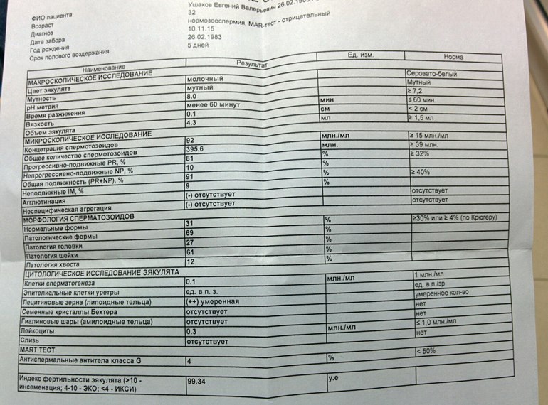 Спермограмма сдать анализ