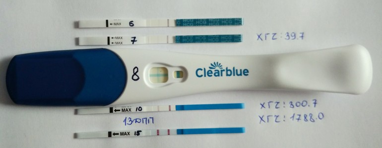 Удачный криоперенос форум. Тест на беременность эко. Тесты после эко. 7 ДПП пятидневок тест. 4дпп ощущения в Удачном.