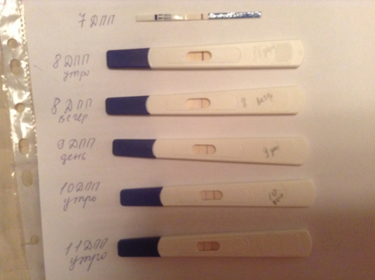 Криоперенос тянет низ живота. Тесты на беременность на 5 ДПП эмбрионов. Тесты на беременность после эко трехдневок. Тест на беременность криопереноса. Тесты после переноса.