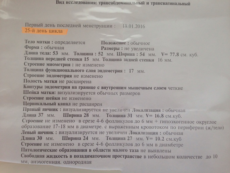 Размер плодного яйца по неделям беременности