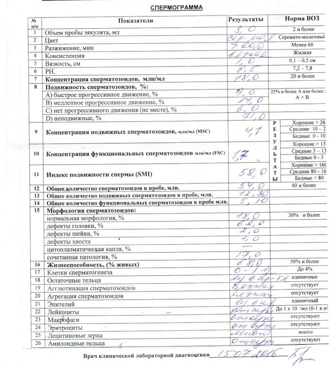 Образец результата спермограммы