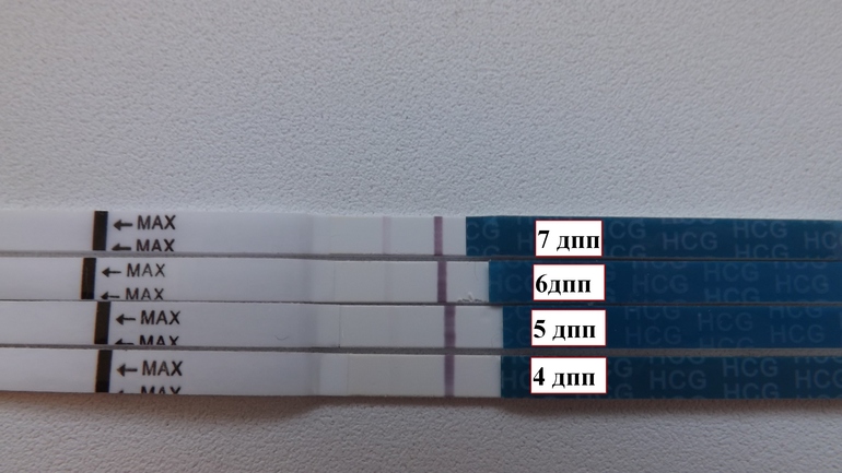 7 дпп тест отрицательный. 4дпп тест на беременность отрицательный. Тест на беременность на 4 день после подсадки. 4 ДПП эвитест. Тесты на 4 день после переноса эмбрионов.