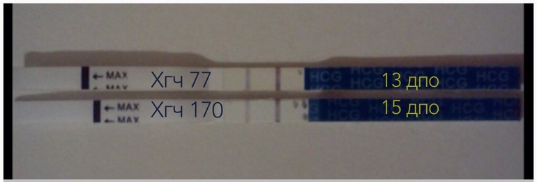 Низкий хгч. Тест на беременность при ХГЧ 20. ХГЧ растет а тест не ярчает. ХГЧ на 10 день после овуляции. Тесты на беременность то бледнеют то ярчают.