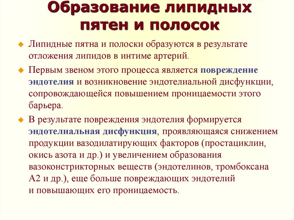 Образование липидных пятен и полосок. Липидные пятна и полоски. Смешанная гиперлипидемия что это такое. Гиперлипидемия симптомы.