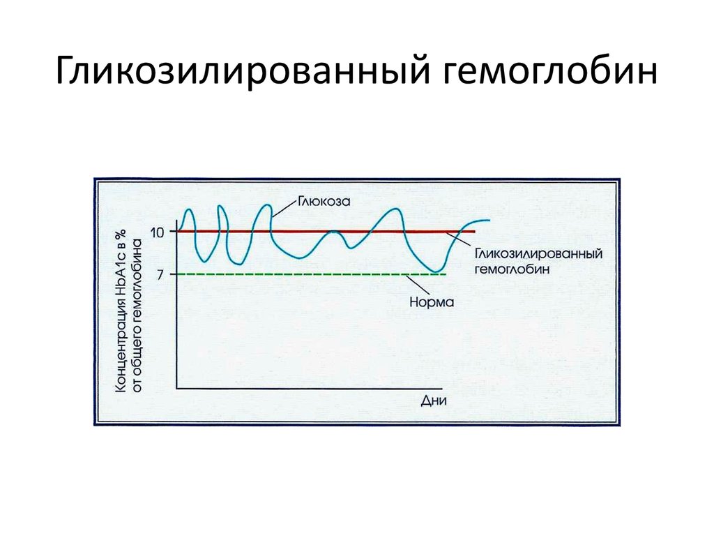 Гликированный гемоглобин картинка