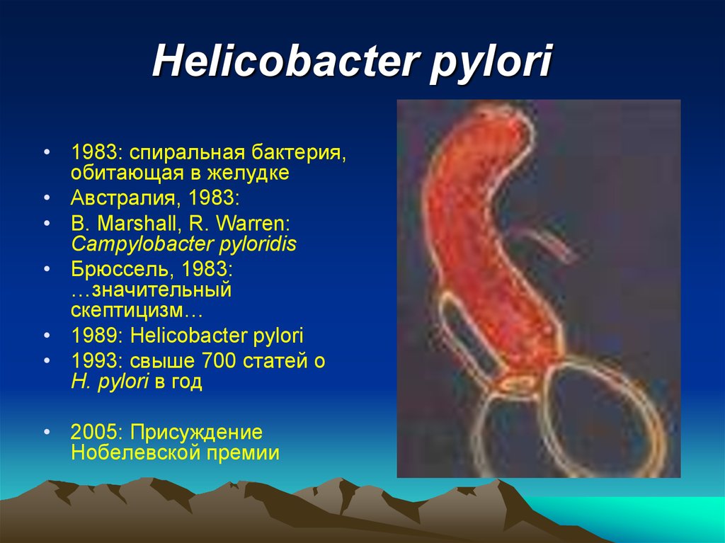 Como eliminar la bacteria helicobacter pylori con remedios naturales