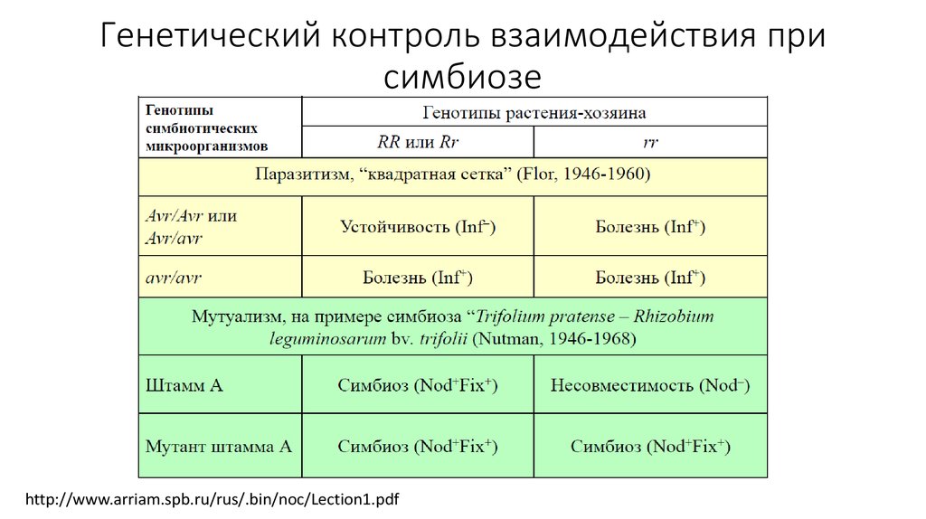 Генетическая несовместимость супругов