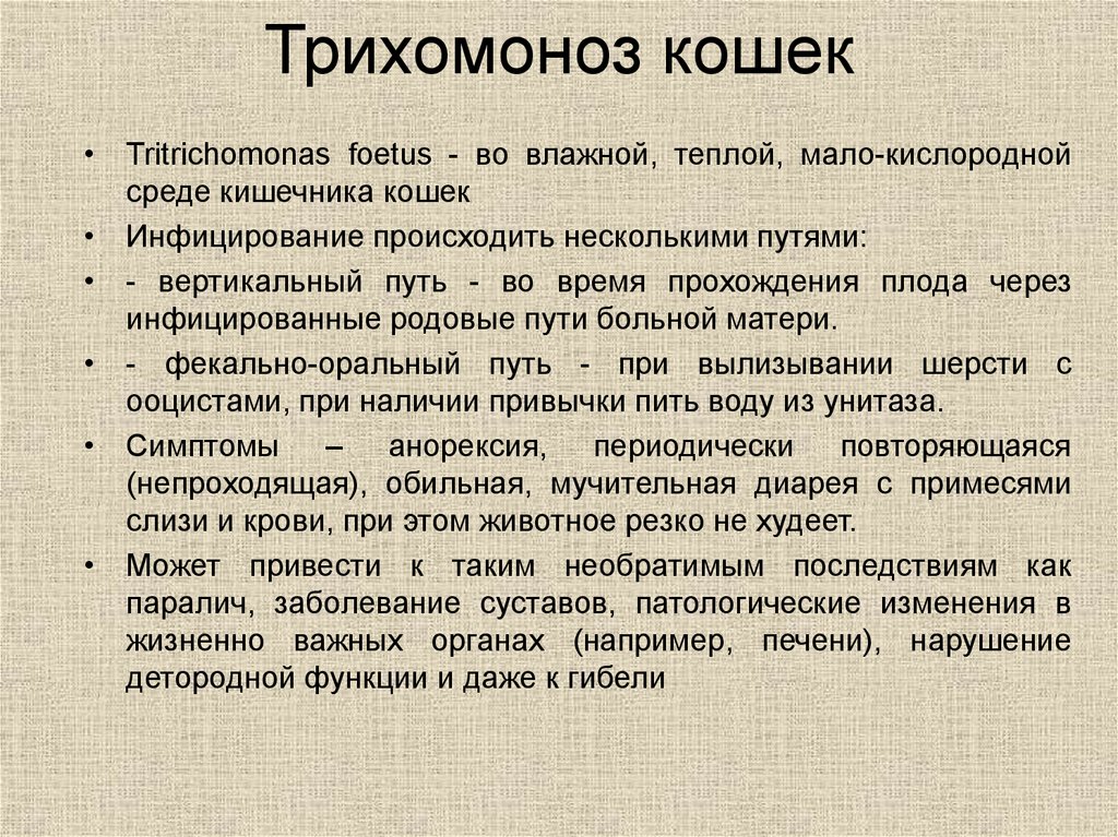 Трихомоноз у мужчин симптомы и лечение. Трихомоноз источник инфекции. Трихомоноз поражающее воздействие.