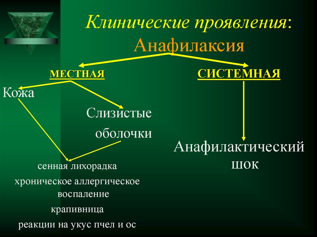 Аллергические реакции и анафилактический. Клинические проявления анафилактического шока. Системная анафилаксия. Клинические проявления анафилаксии. Местные проявления анафилактических реакций.