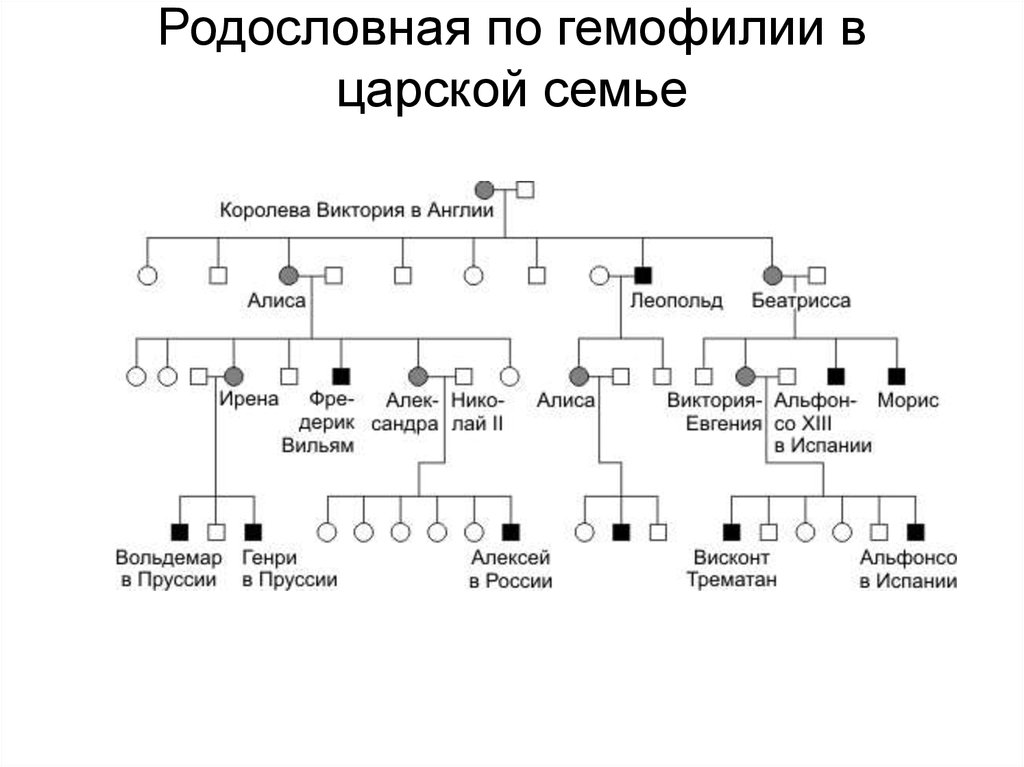 Схема наследования гемофилии у человека