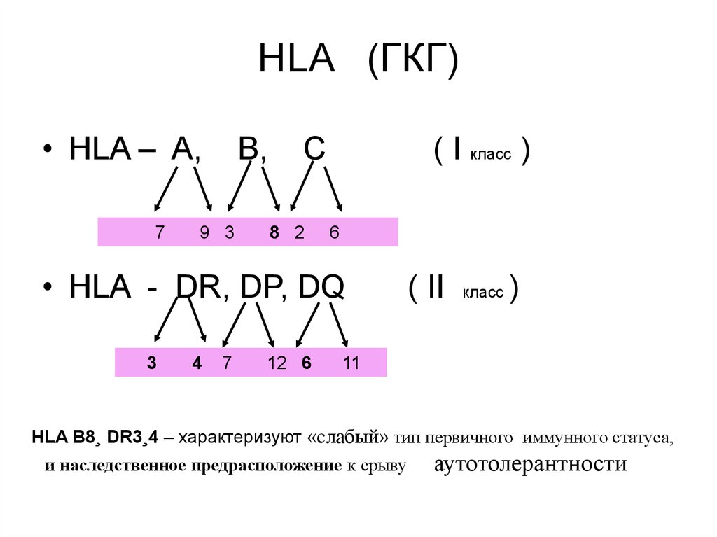 Генотип hla