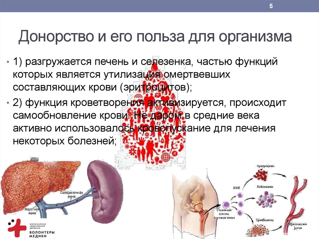 Донорство вред для организма