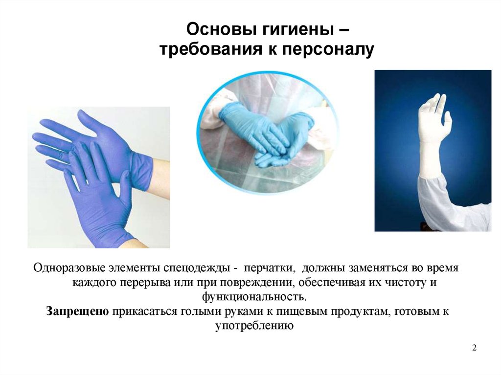 Требования к гигиеническим средствам. Гигиенические перчатки. Правила личной гигиены персонала. Гигиена рук медицинского персонала. Резиновые перчатки на пищевом производстве.