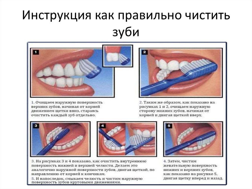 Видео как правильно чистить. Как правильно чистить зубы электрической щеткой. Как правильно чистить зубы ультразвуковой щеткой. Правильные движения при чистке зубов. Как правильно чистить наружную сторону зубов.