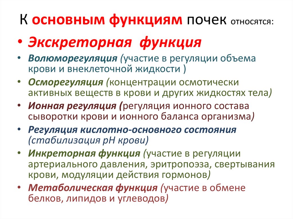 К общему имени относится. Основной функцией работы почек является. Экскреторная функция почек. Метаболическая и экскреторная функция почек.. К функциям почек относятся.