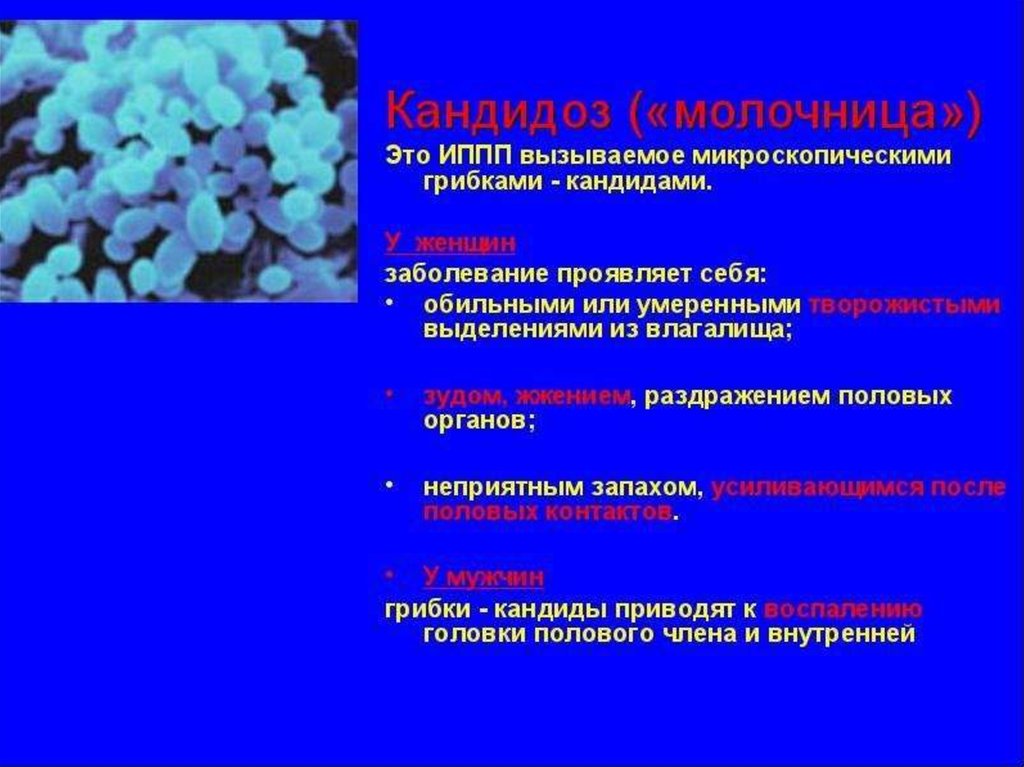 Кровь на иппп. Список заболеваний передающихся половым путём. Список инфекций передаваемые пол путем. Перечень болезней которые передаются половым путем. Перечень заболеваний ЗППП.