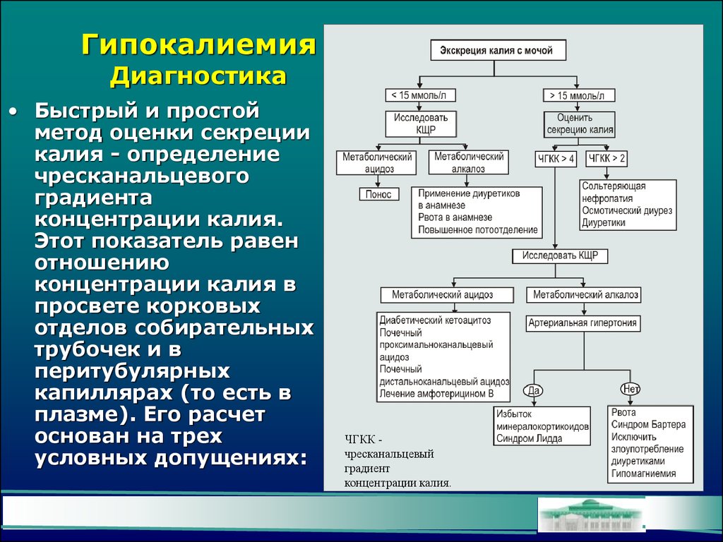 Почему повышен калий