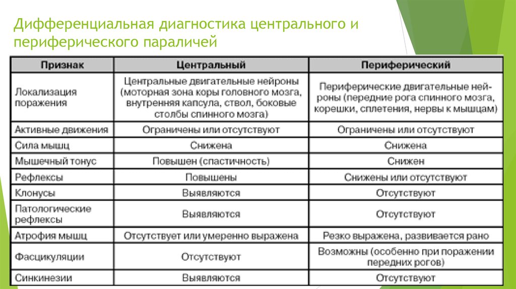 Клиническая картина периферического паралича