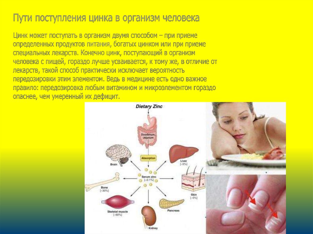 Цинк в организме человека. Функции цинка в организме человека. Цинк функции в организме. Поступление цинка в организм. Роль цинка в организме.