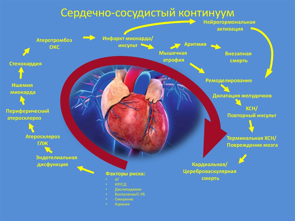 Хроническая артериальная недостаточность презентация