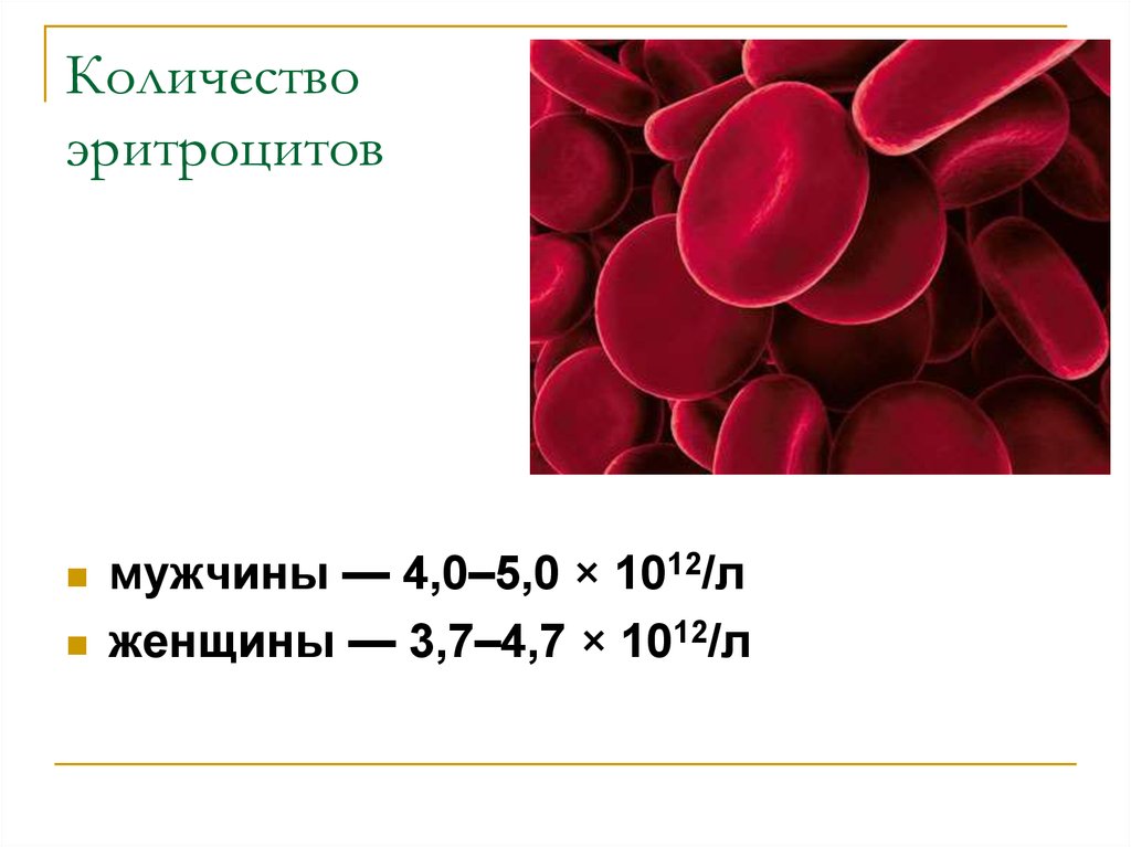 Кровь анатомия эритроциты. Кол во эритроцитов в крови человека. Количество эритроцитов у человека. Почему пониженные эритроциты