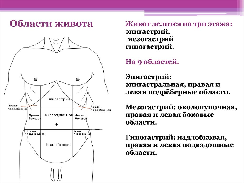 Схема болей в животе