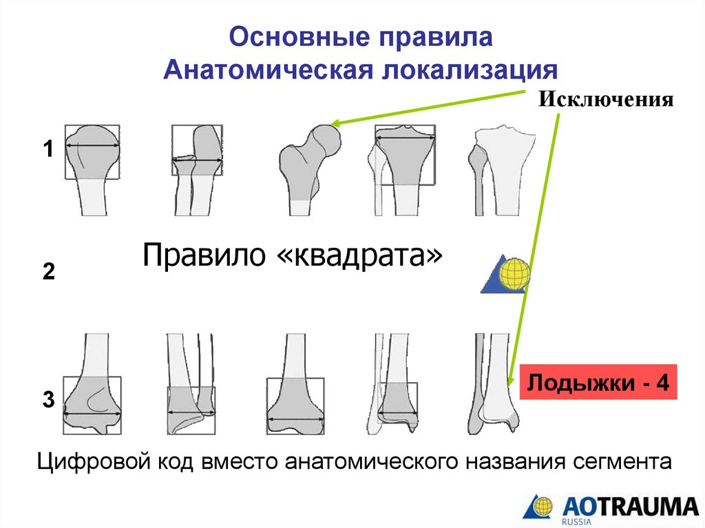 Перелом локтевого сустава карта вызова