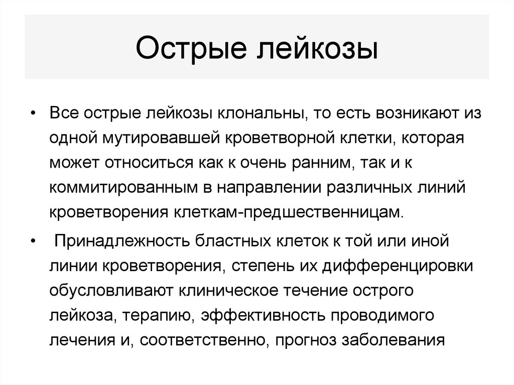 Лейкоз симптомы у взрослых. Острый лейкоз у взрослых. Лечение острого лейкоза у взрослых. Острый лейкоз прогноз.