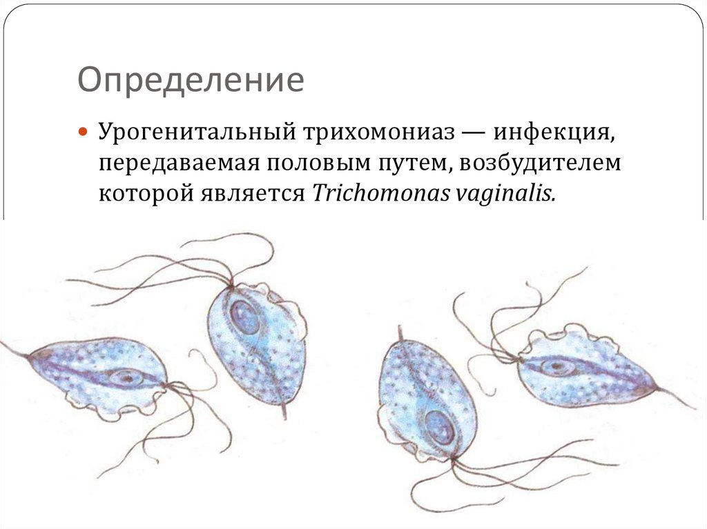 Трихомониаз Фото Лечение